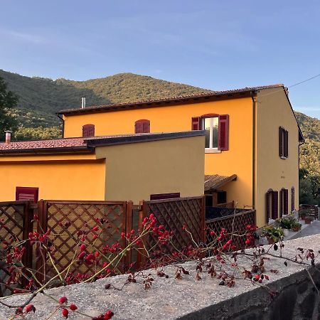B&B La Fucinaia Pet Friendly Adults Only Campiglia Marittima Exterior foto