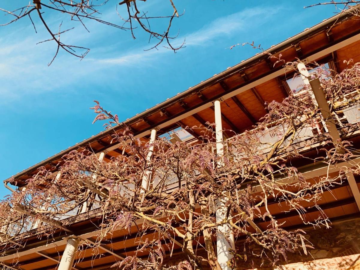 B&B La Fucinaia Pet Friendly Adults Only Campiglia Marittima Exterior foto