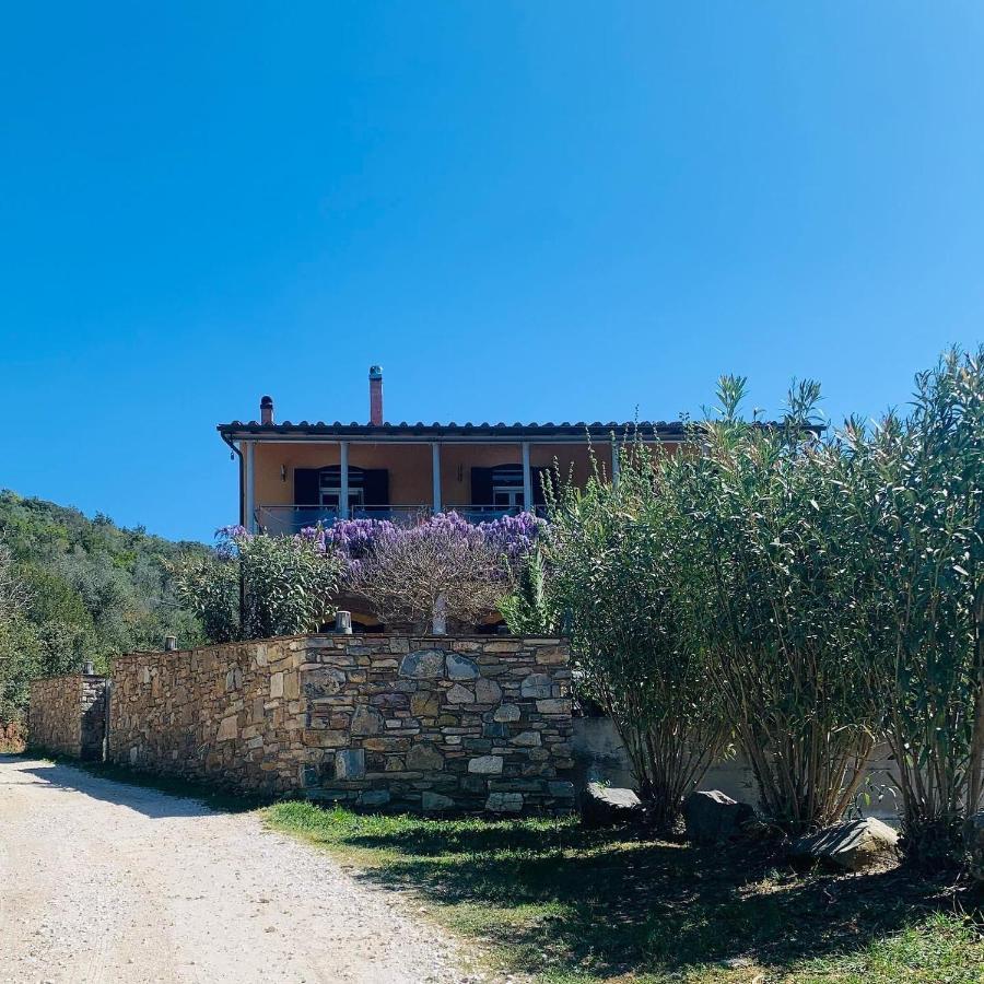 B&B La Fucinaia Pet Friendly Adults Only Campiglia Marittima Exterior foto