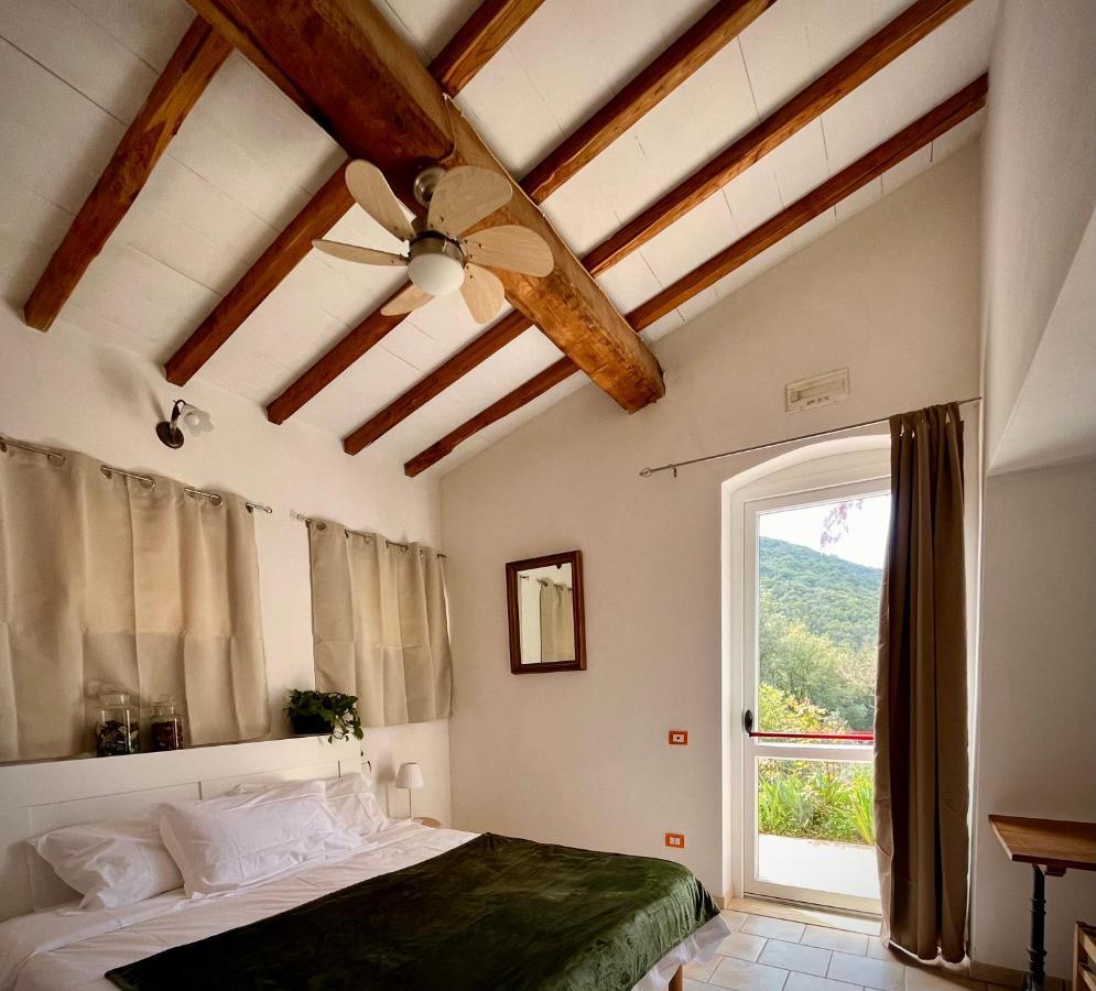 B&B La Fucinaia Pet Friendly Adults Only Campiglia Marittima Exterior foto