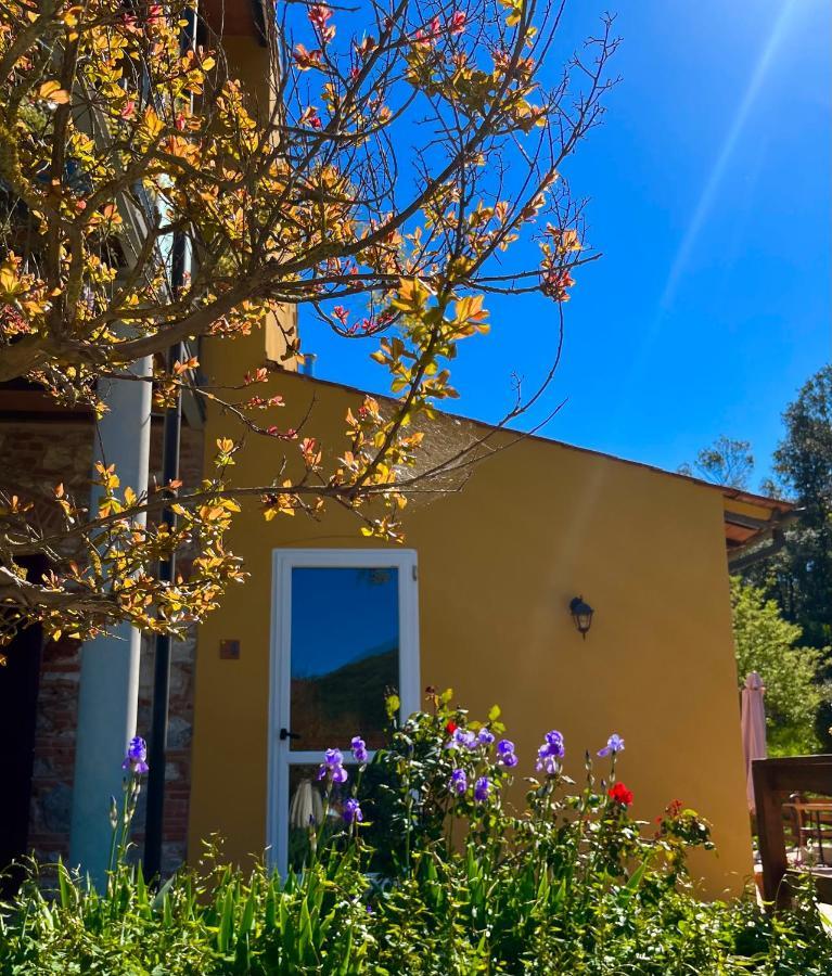 B&B La Fucinaia Pet Friendly Adults Only Campiglia Marittima Exterior foto