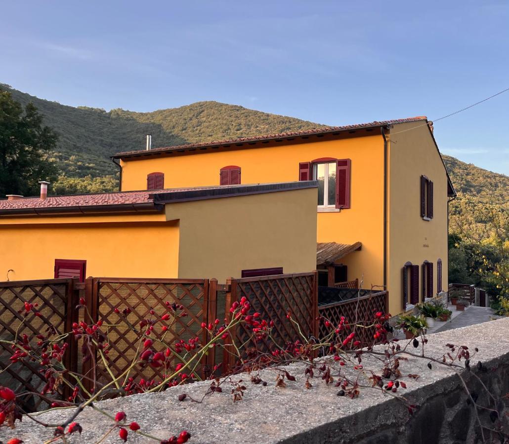 B&B La Fucinaia Pet Friendly Adults Only Campiglia Marittima Exterior foto