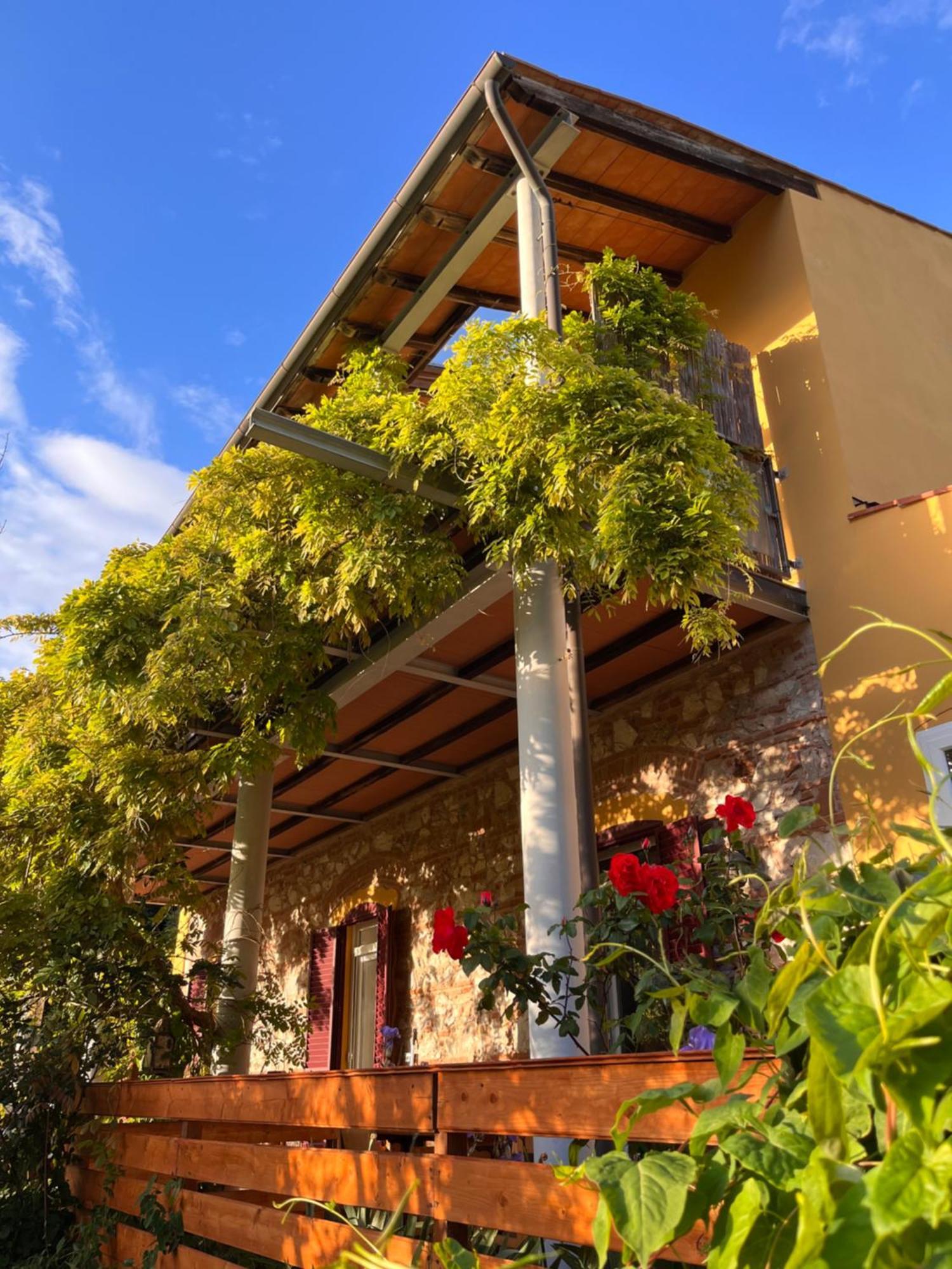 B&B La Fucinaia Pet Friendly Adults Only Campiglia Marittima Exterior foto
