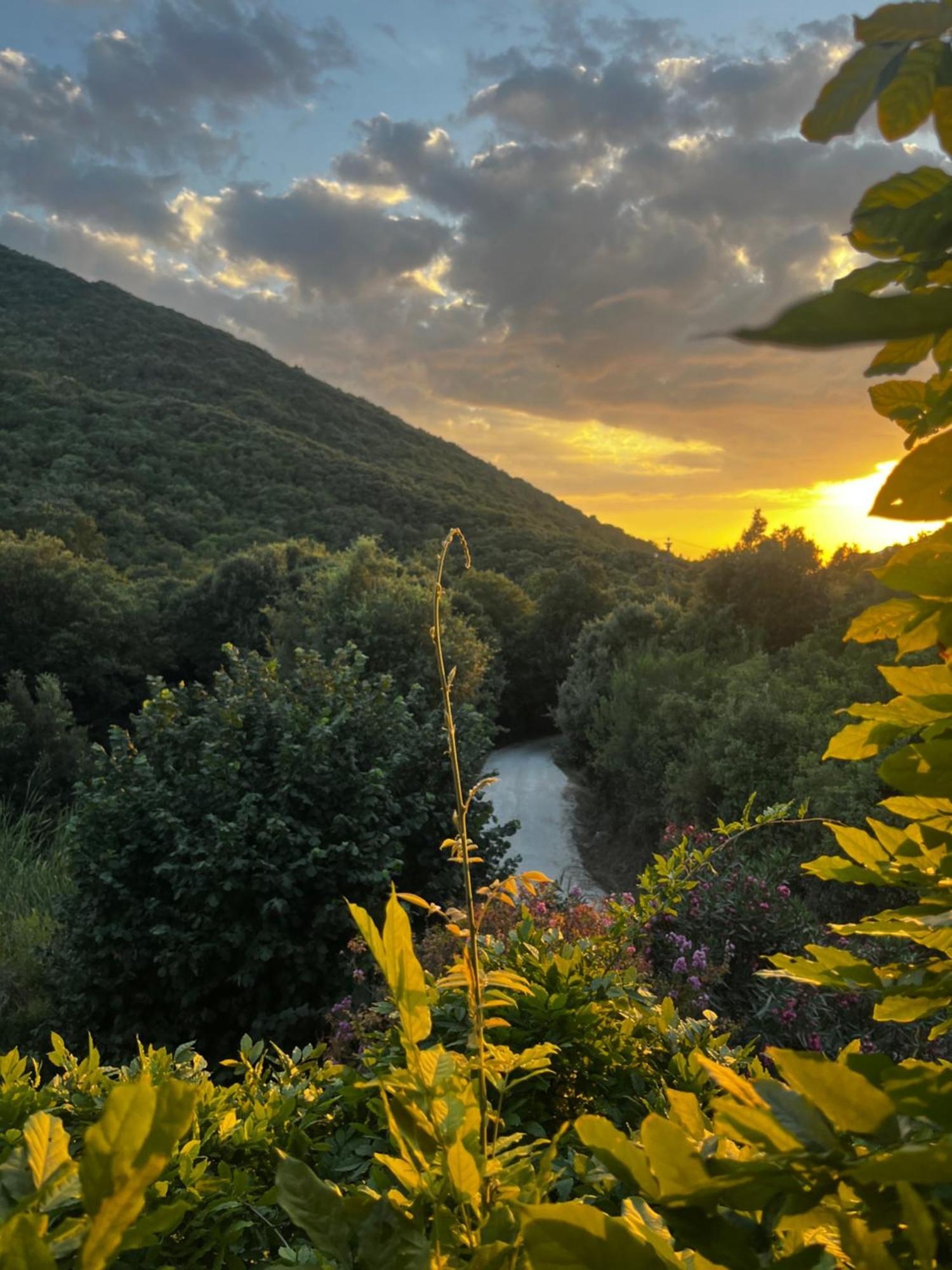 B&B La Fucinaia Pet Friendly Adults Only Campiglia Marittima Exterior foto