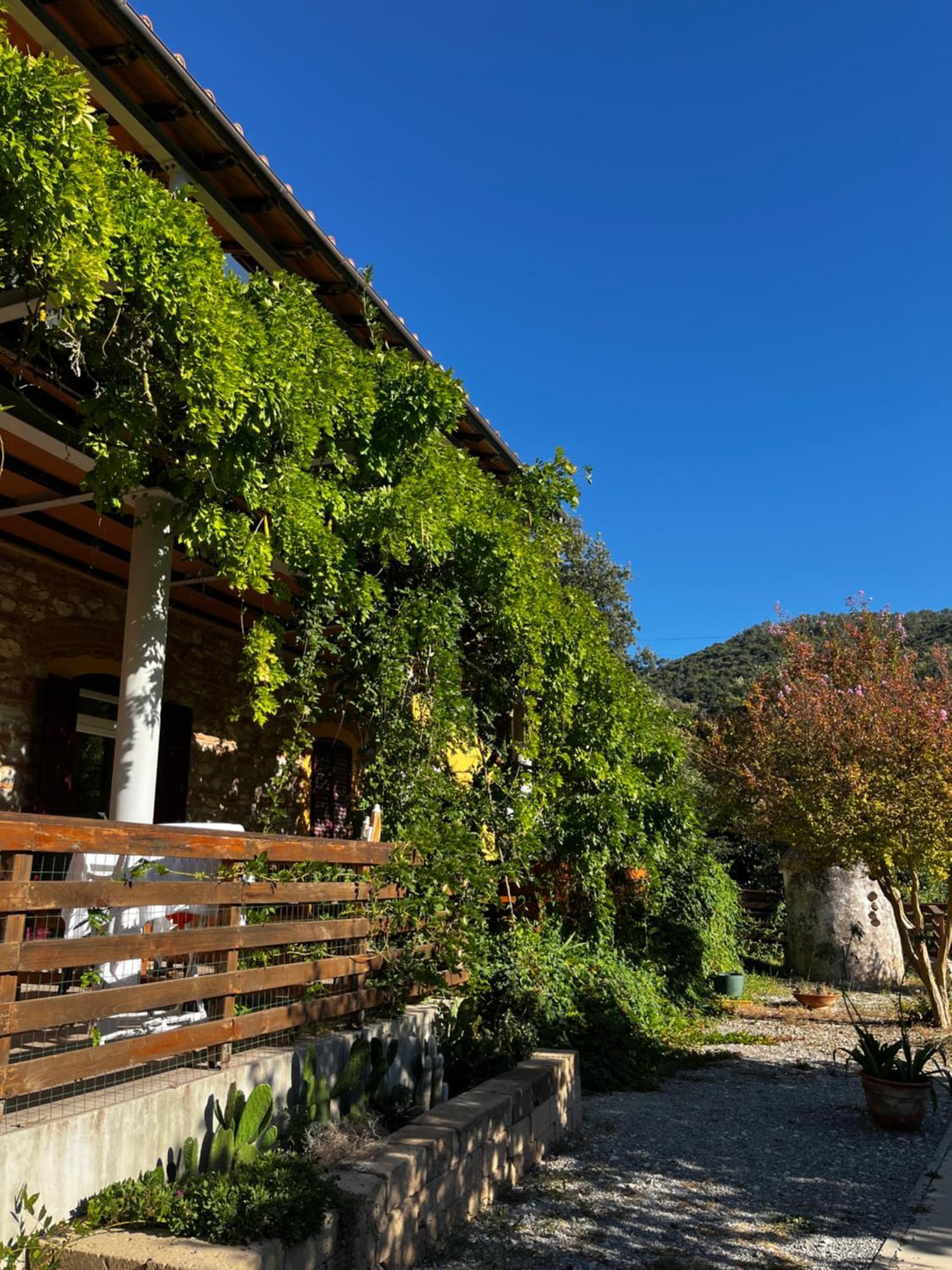 B&B La Fucinaia Pet Friendly Adults Only Campiglia Marittima Exterior foto