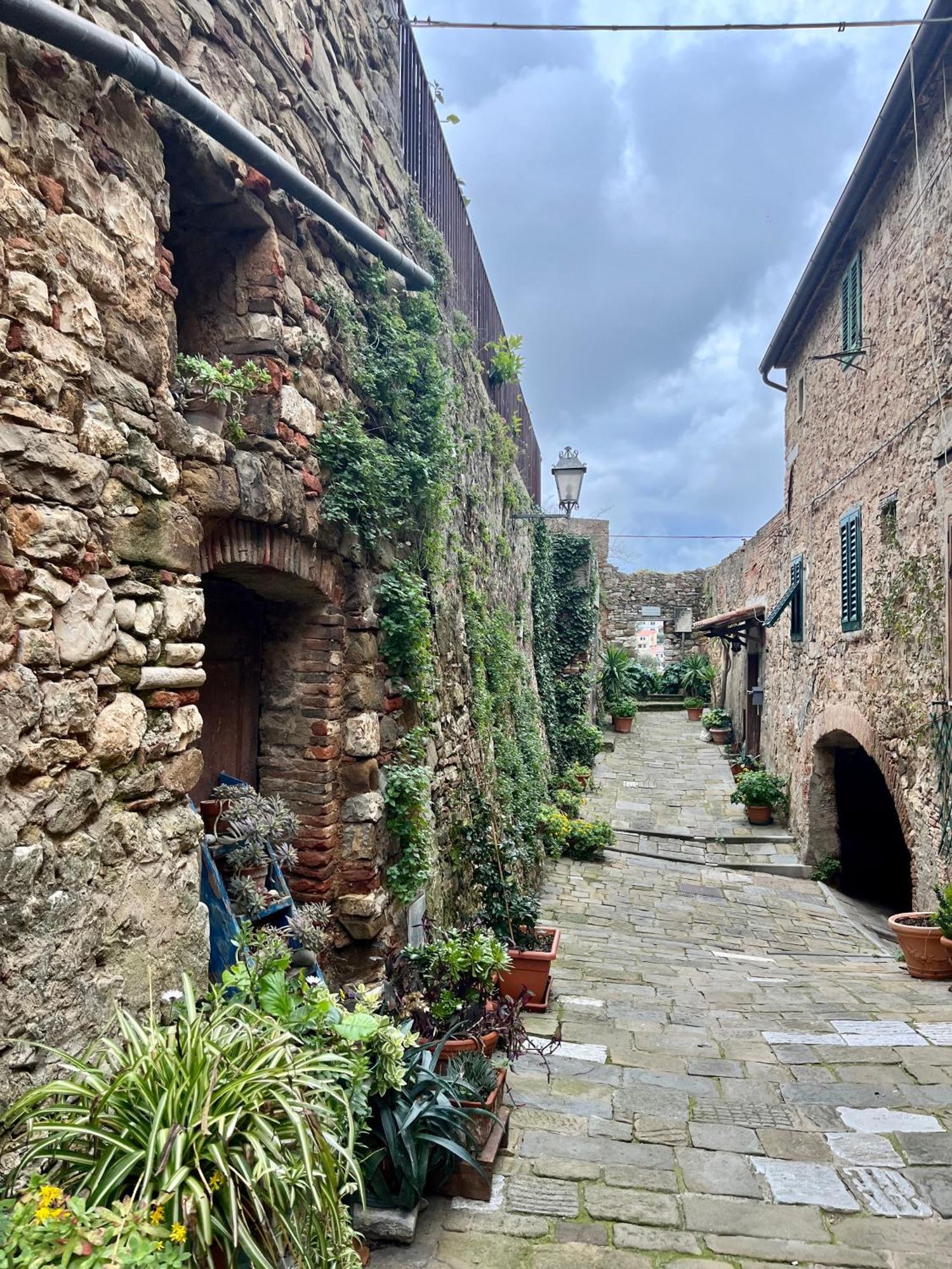 B&B La Fucinaia Pet Friendly Adults Only Campiglia Marittima Exterior foto