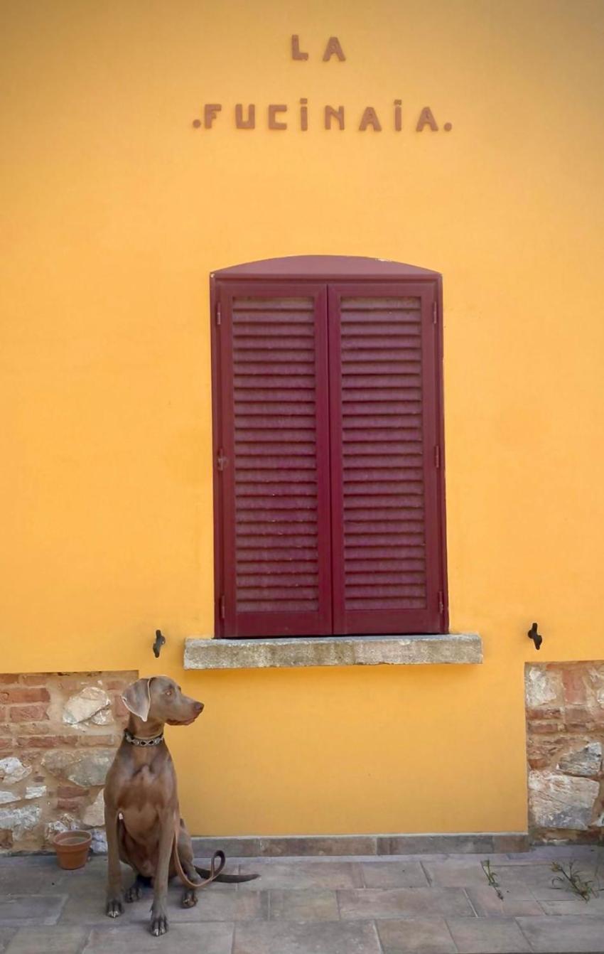 B&B La Fucinaia Pet Friendly Adults Only Campiglia Marittima Exterior foto