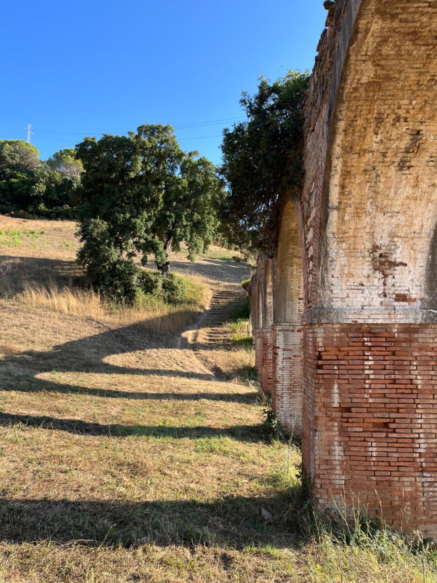 B&B La Fucinaia Pet Friendly Adults Only Campiglia Marittima Exterior foto